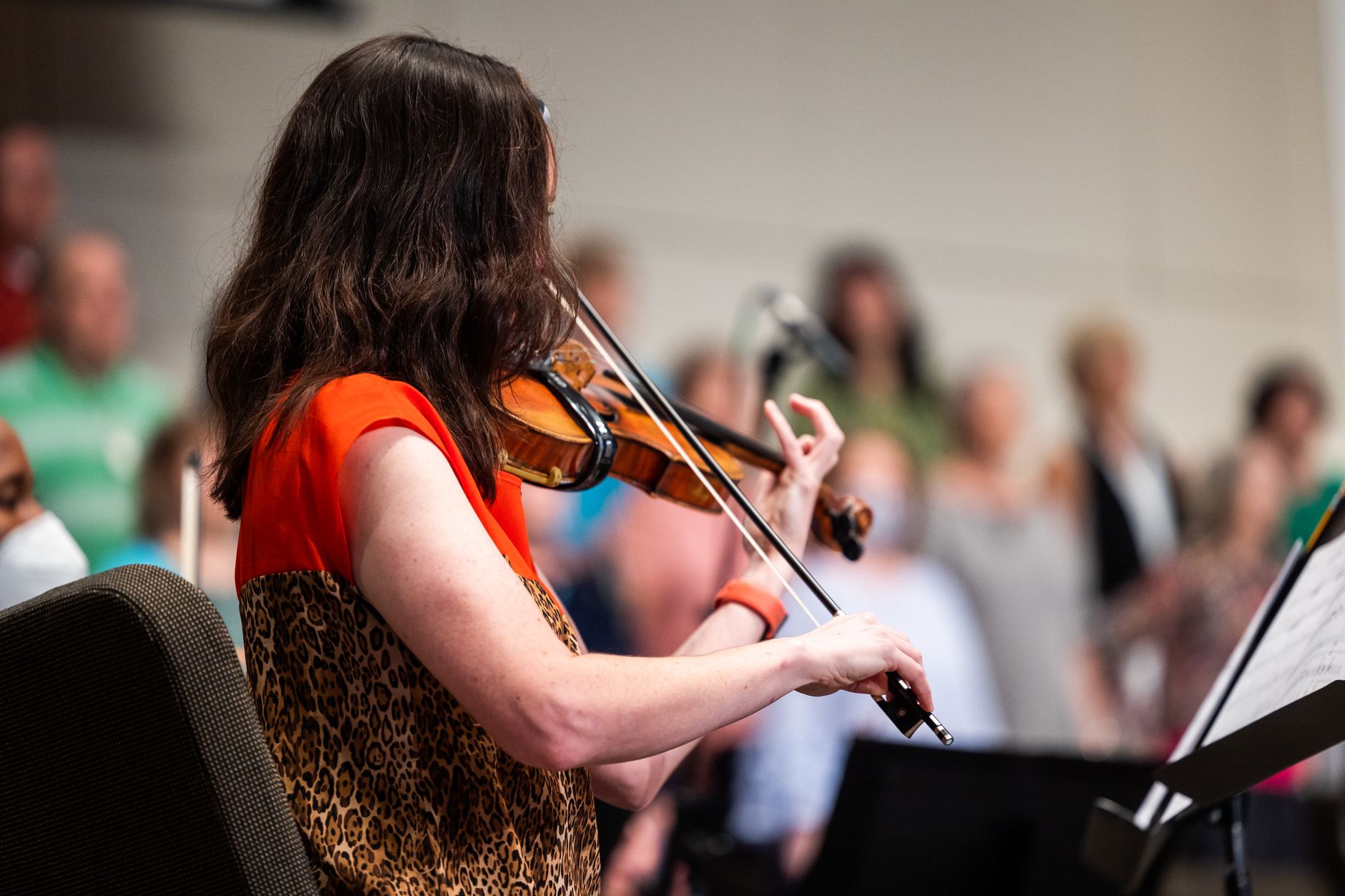 Seis décadas e meia de arte na nossa cidade com violino grátis