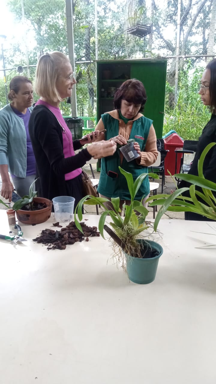 Guarulhos programa oficinas de natureza e meio ambiente para agosto