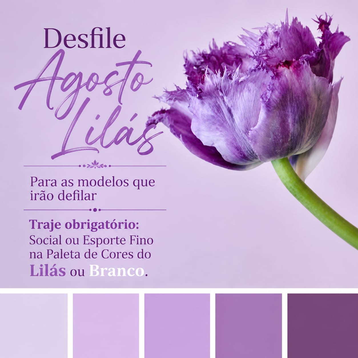 Guarulhos recebe desfile solidário do Agosto Lilás no Armazém Maia