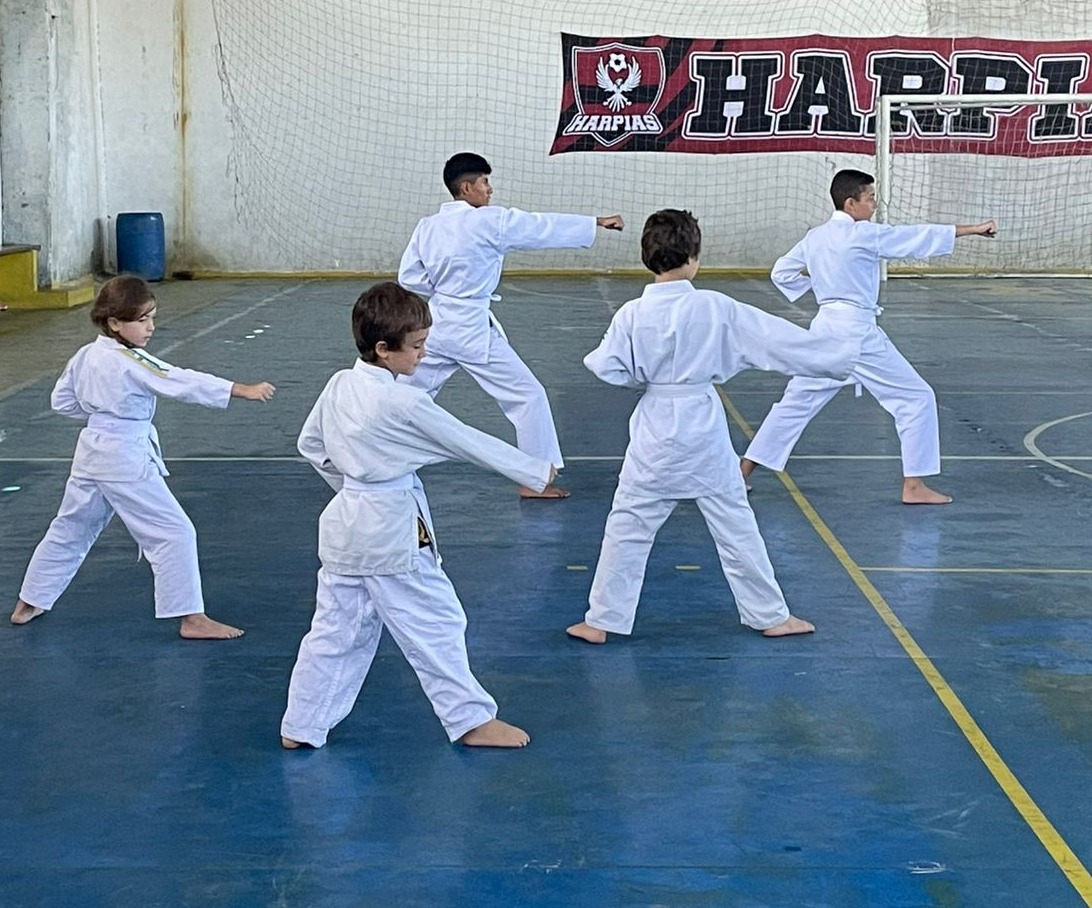 Karatê gratuito para jovens em Guarulhos começa dia 11