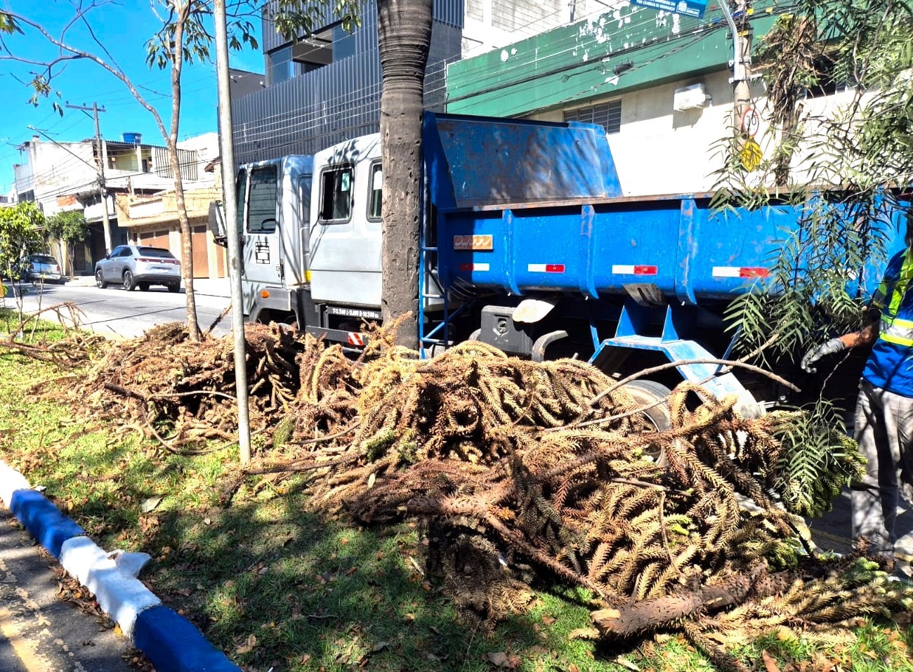 Limpeza urbana remove entulhos em 13 ruas de Guarulhos