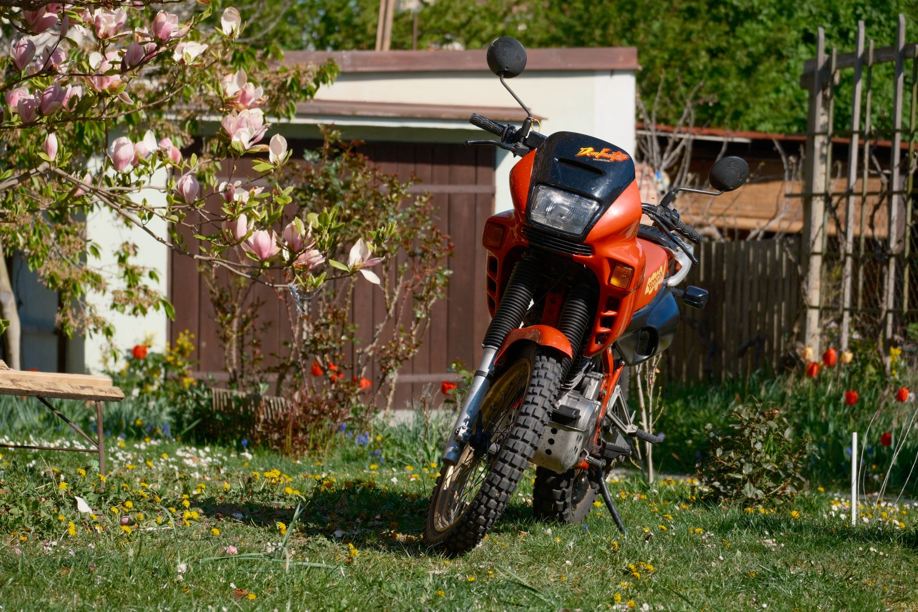 Conheça a nova aventureira que substitui a famosa moto da Honda