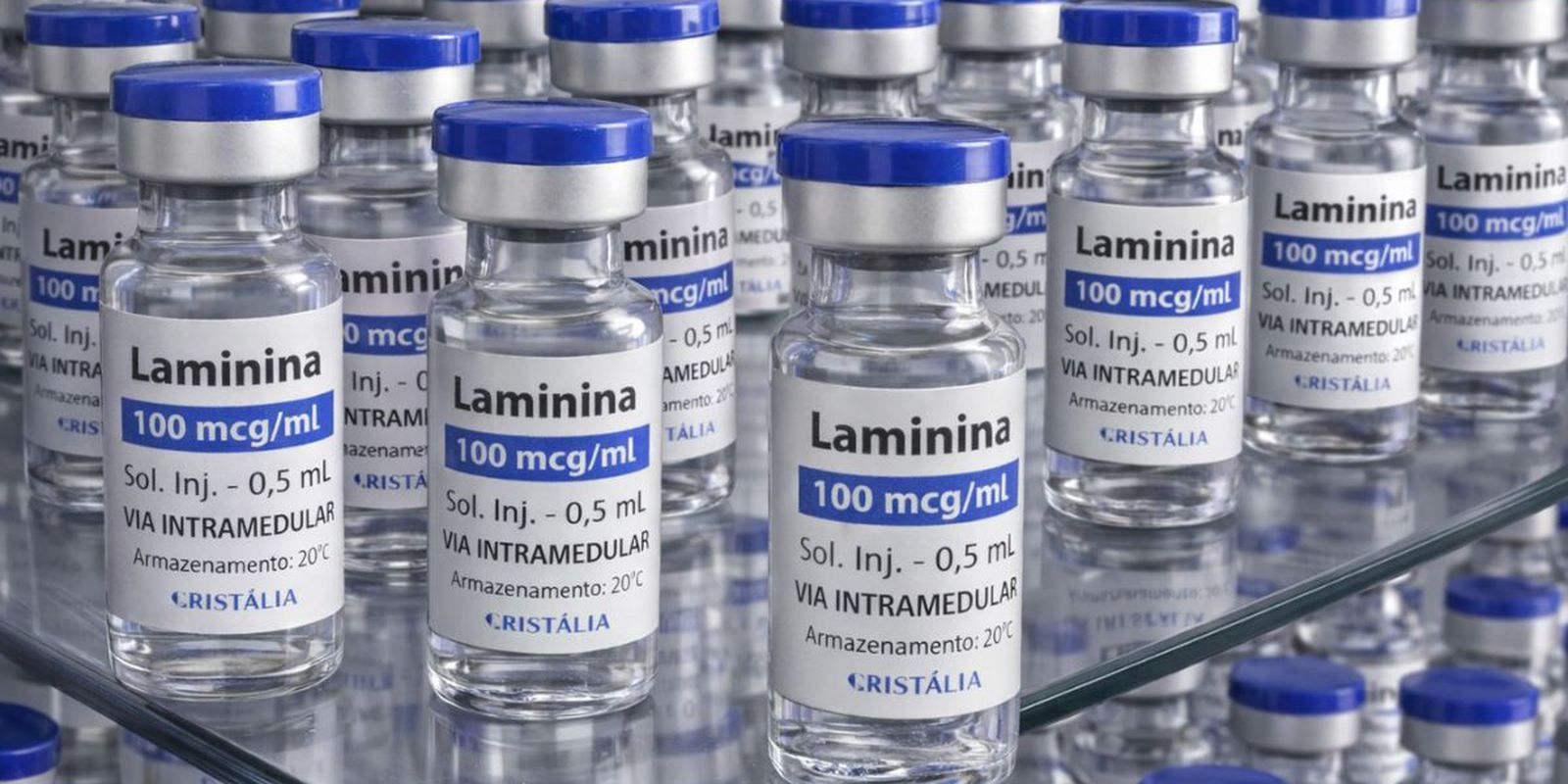 Testes clínicos da polilaminina têm início em 24 de setembro